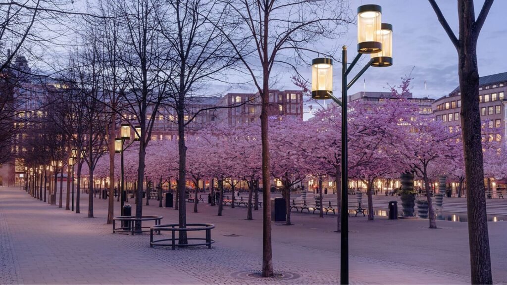 Kungsträdgården